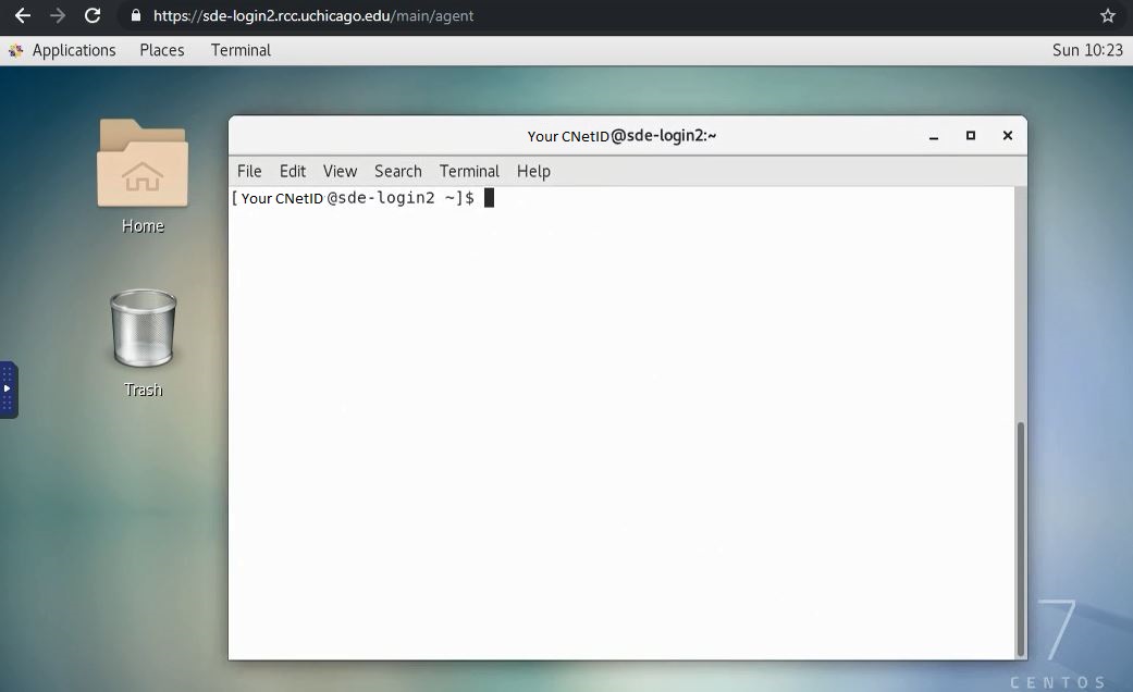 Screenshot showing ThinLinc terminal